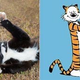 Illustration for article titled Cats vs. Dogs: Here Are Your Ferocious Final Four!